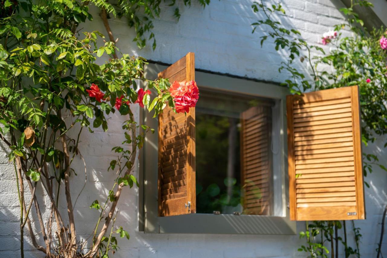 Lodge & Loft Сасенхайм Екстериор снимка